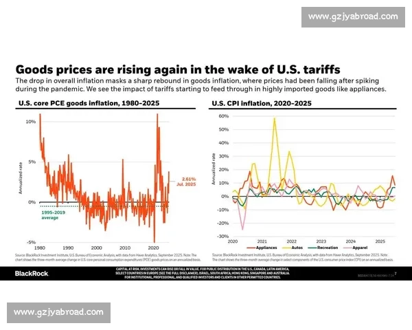 面向未来的全球趋势演进与科技经济社会新格局观察深度解析发展
