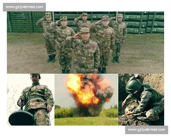 聚焦高光时刻见证奋斗历程与荣耀绽放的精彩瞬间时代记忆与梦想回响